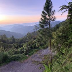 Scenic view of landscape against sky during sunset