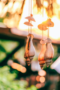 Close-up of decoration for sale in market