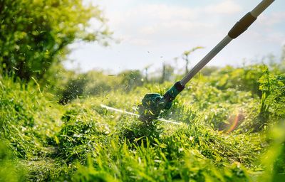 Hand string trimmer cutting grass in the garden