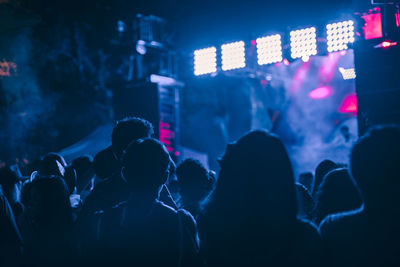 Rear view of silhouette people at music concert