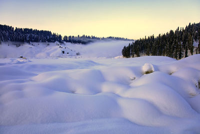 Snow covered land and trees against sky