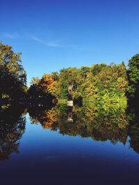 Reflection of trees in calm lake