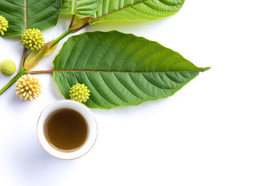 High angle view of tea cup and leaves on white background