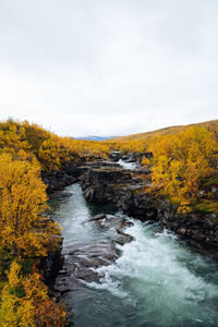 Scenic view of river amidst trees against sky during autumn