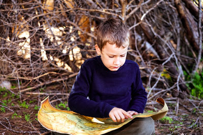 Boy looking away while sitting on tree