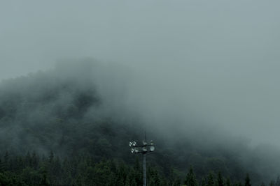 Scenic view of forest against sky