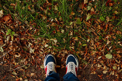 Low section of man standing on field during autumn