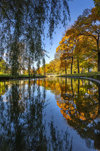 Scenic view of lake by trees against sky