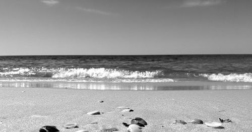 sea