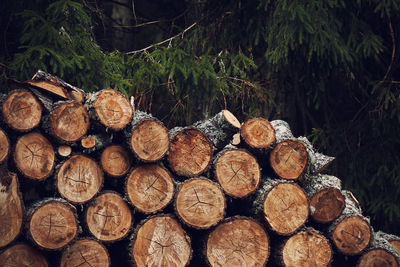 Logs layed in a stack next to a forest