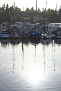Sailboats moored at harbor against sky