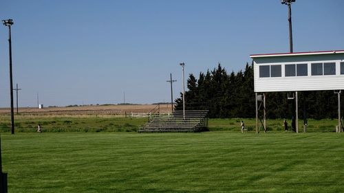 Scenic view of grass against clear sky