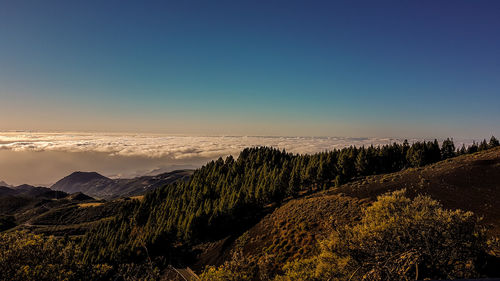 Scenic view of landscape against clear blue sky