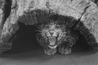 Close-up of built structure