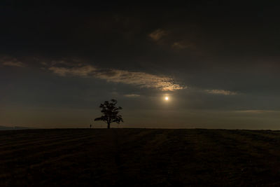 Silhouette trees on field against sky during sunset