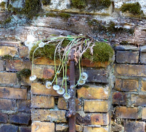 View of stone wall