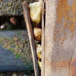 Close-up of rusty metal on wood