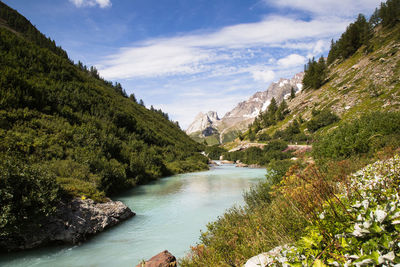 Scenic view of river amidst trees against sky