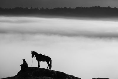 Silhouette of horse against sky