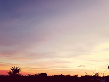 Silhouette trees against sky during sunset