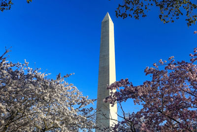 Low angle view of cherry blossom against blue sky