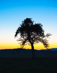 Silhouette tree on field against sky during sunset