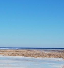 Scenic view of beach against clear blue sky