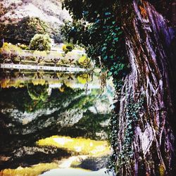 Scenic view of trees