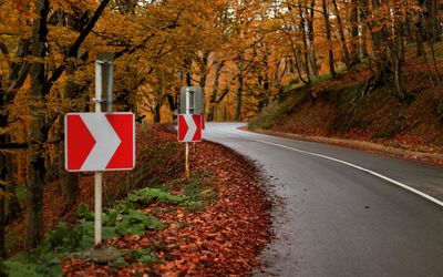 Arrow signs on roadside amidst trees in forest during autumn