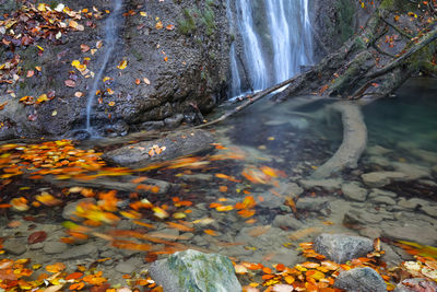 Stream flowing through rocks in forest