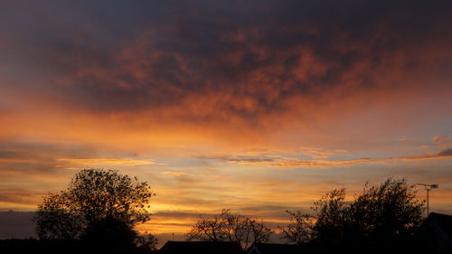 Low angle view of silhouette trees against dramatic sky