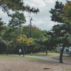 People by trees against sky