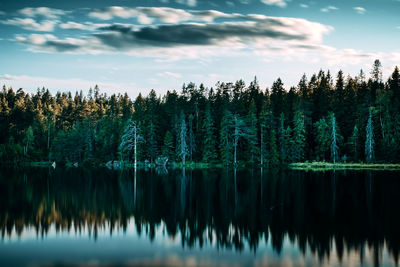 Scenic view of calm lake by trees against sky during sunset