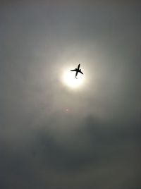 Low angle view of airplane flying in sky