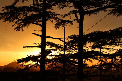 Silhouette trees against sky during sunset