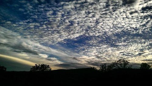 Silhouette of trees against cloudy sky