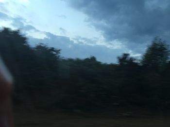 Scenic view of forest against sky