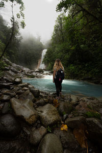 Rear view of woman looking at waterfall in forest