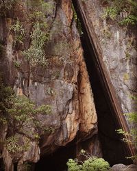 Rocks in forest