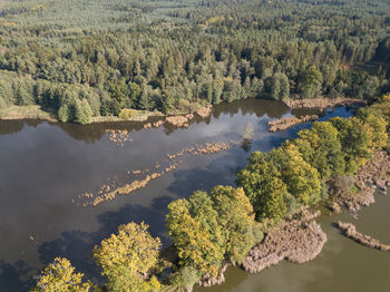 High angle view of lake amidst trees in forest