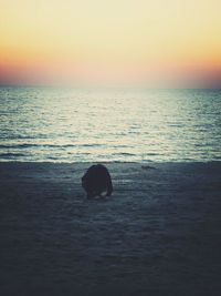 Scenic view of sea at sunset