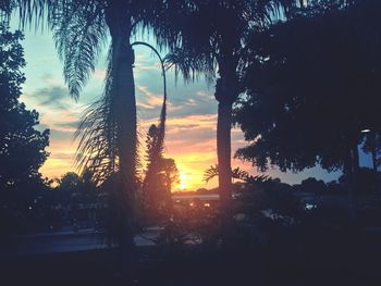 Silhouette trees against sky during sunset