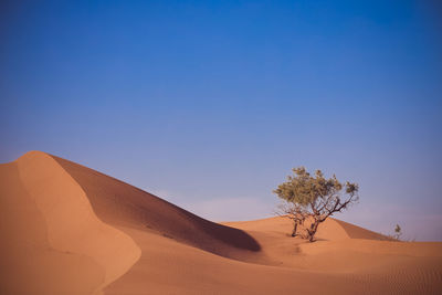 Scenic view of desert against clear blue sky