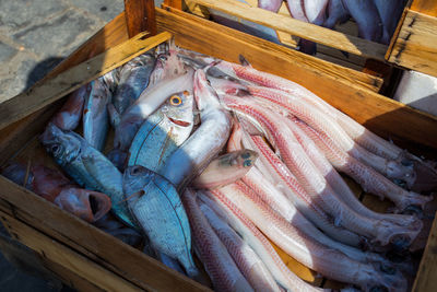 High angle view of fish for sale in market