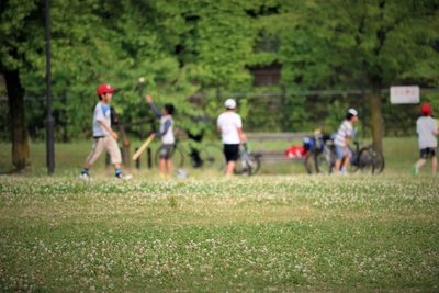 People on field at park