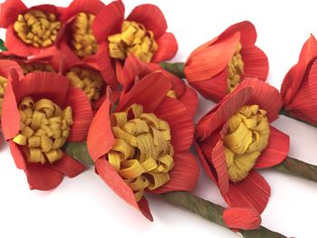 Close-up of multi colored flowers