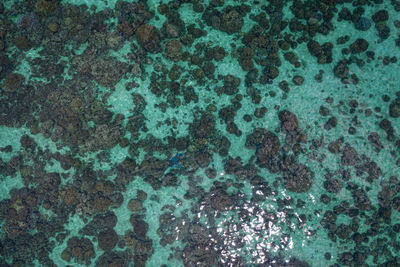 Full frame shot of rocks in sea