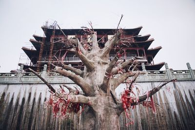 Low angle view of bare tree against historic temple