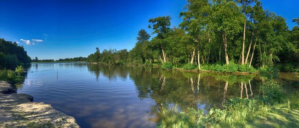 Scenic view of lake in forest against clear blue sky