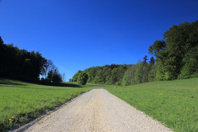 Road amidst trees against clear blue sky